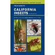 Field Guide to California Insects： Second Edition