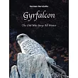 Gyrfalcon： The One Who Stays All Winter