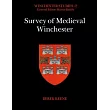 Survey of Medieval Winchester