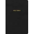 KJV Rainbow Study Bible， Black Leathertouch， Indexed
