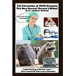 The Chronicles of Philly Raccoon ─ The New Normal