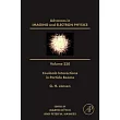 Relativistic Theory and Calculation of Electrostatic Focusing Systems: Volume 230