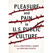 Pleasure and Pain in Us Public Culture