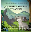 Josephine Meets A Stranger