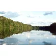 The Congo’s Salonga Park: Interactions Between Society, Biodiversity and Water in a Humid Tropical Forest