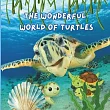 The Wonderful World of Turtles： Interesting Facts About Turtles