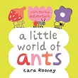 A Little World of Ants: A Lift-the-Flap Adventure