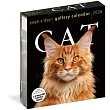 Cat Page-A-Day(r) Gallery Calendar 2026: A Delightful Gallery of Cats for Your Desktop