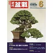 月刊近代盆栽 6月號/2025