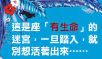 熱門活動