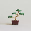 可以摘起來的盆栽