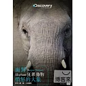 面對狂暴動物：憤怒的大象 DVD