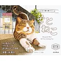 こだわり塗り絵シリーズ　そとねこ　Masayuki Oki’s the Free-roaming Cats