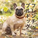 法國鬥牛犬2026年掛曆
