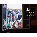 岩合光昭貓咪2026年壁掛式月曆