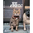 岩合光昭 貓