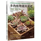 多肉植物栽培圖鑑：認識不同多肉植物的魅力，輕鬆打造迷你綠植空間