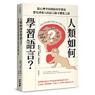 人類如何學習語言？從心理學和神經科學探索嬰兒到成人的語言能力躍進之謎
