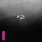 Little Simz / Lotus (進口版CD)