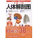 全新·3D人體解剖圖