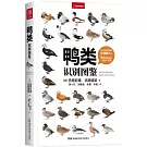 鴨類識別圖鑒