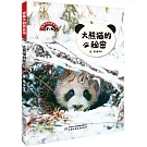 大熊貓的秘密