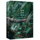 森林如何思考：超越人類的人類學