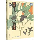 橡子之謎