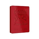 STRAY KIDS - WORLD TOUR [DOMINATE SEOUL] 演唱會 DVD (韓國進口版)