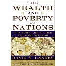 The Wealth and Poverty of Nations: Why Some Are So Rich and Some So Poor
