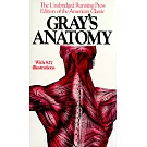 Gray’s Anatomy