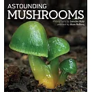 Astounding Mushrooms