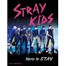 Stray Kids: Here to Stay