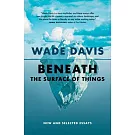 Beneath the Surface of Things: New and Selected Essays