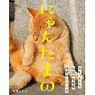 貓咪蛋蛋寫真手冊：にゃんたまω