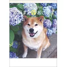 柴犬MARU 2025年掛曆