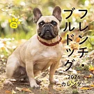 法國鬥牛犬2026年掛曆