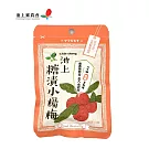 【池上鄉農會】池上糖漬小楊梅 52 公克/3包