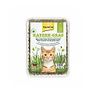 竣寶 新鮮貓草盒裝 DIY 100g/盒 田園草甸味大麥貓草