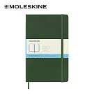 MOLESKINE 經典硬殼筆記本 -  L型/ 點格/  綠