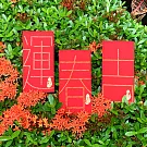 【GFSD】璀璨萬用紅包袋-【新春滿滿系列-迎春好運大吉祥  三入一組】
