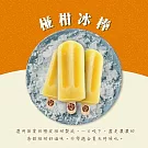【春一枝】天然水果手作冰棒-椪柑口味（6入組）