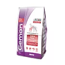 【Gemon啟蒙】義大利啟蒙犬糧-20KG 小型成犬-鮭魚