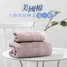 【MORINO摩力諾】台製-美國棉立體斜紋吸水速乾極柔毛巾/浴巾組 -藍色 藕粉