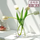 【好拾選物】北歐高雅輕奢玻璃花瓶 小 ─透明款