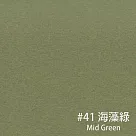 英國Colorplan紙包(270gsm) 41 海藻綠─270gsm(5入)