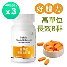 【SALVIA】Salvia高單位長效B群錠(純素)3瓶共180顆