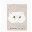 【 Dear Hancock 】A Purrfect Birthday 生日卡#gc_758