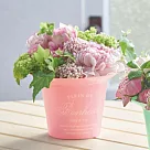 【日本Green House】Plein de bonheur 塑膠盆栽M ‧ 櫻花粉