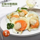 【優鮮配】生鮮半殼扇貝(淨重300g/包)─任選